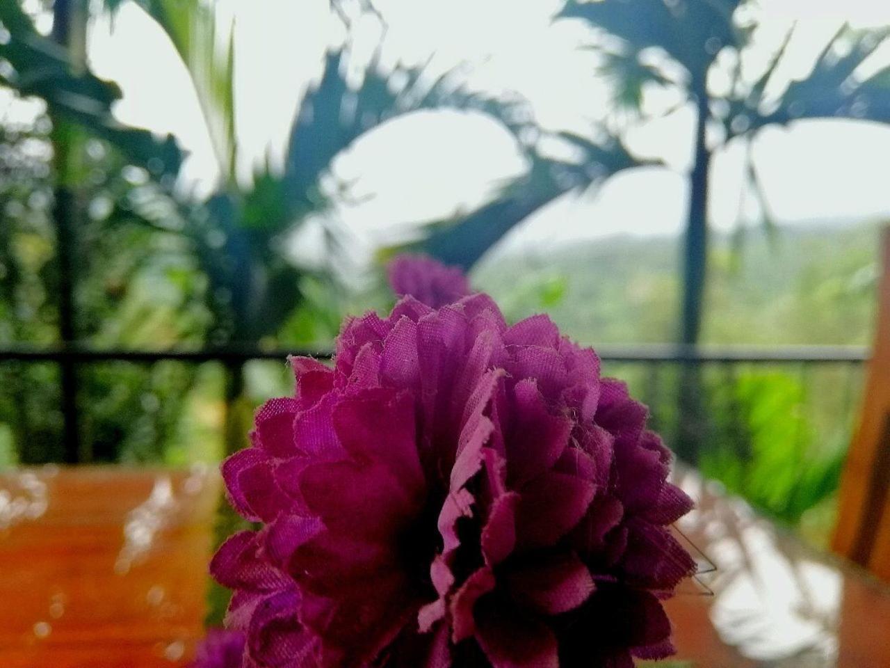 Nature Casa Bella Exteriér fotografie